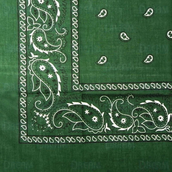 BANDANA'S PLAIN/PASLEY