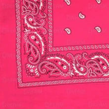 BANDANA'S PLAIN/PASLEY