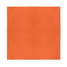 BANDANA'S PLAIN/PASLEY