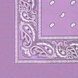 BANDANA'S PLAIN/PASLEY