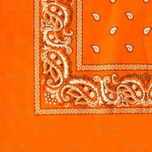 BANDANA'S PLAIN/PASLEY