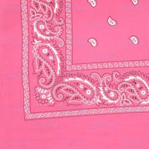 BANDANA'S PLAIN/PASLEY