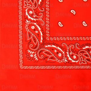 BANDANA'S PLAIN/PASLEY