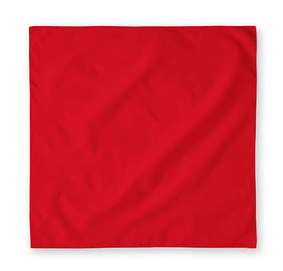 BANDANA'S PLAIN/PASLEY