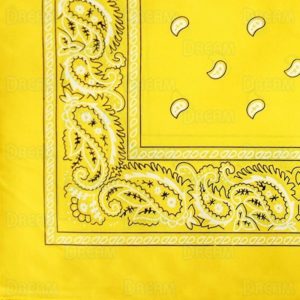 BANDANA'S PLAIN/PASLEY