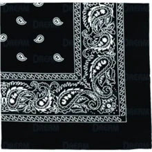 BANDANA'S PLAIN/PASLEY