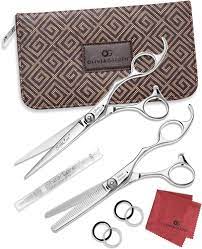 Olivia Garden Silk Cut Shears Kit