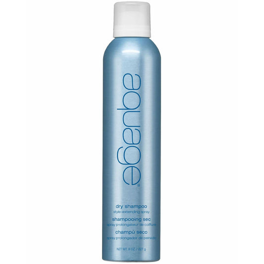 Aquage Dry Shampoo Style Extending Spray