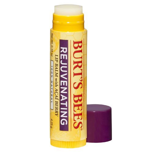 Burt's Bees Moisturizing Lip Balm, 0.15oz – The Beauty Store-Salon-Boutique